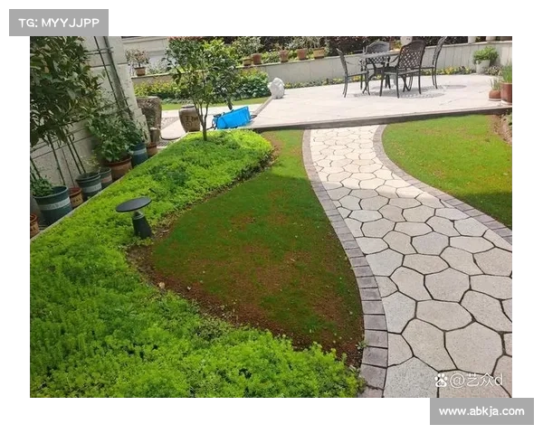 提升草坪质量的关键因素及养护技巧解析 提升草坪质量的关键因素及养护技巧解析